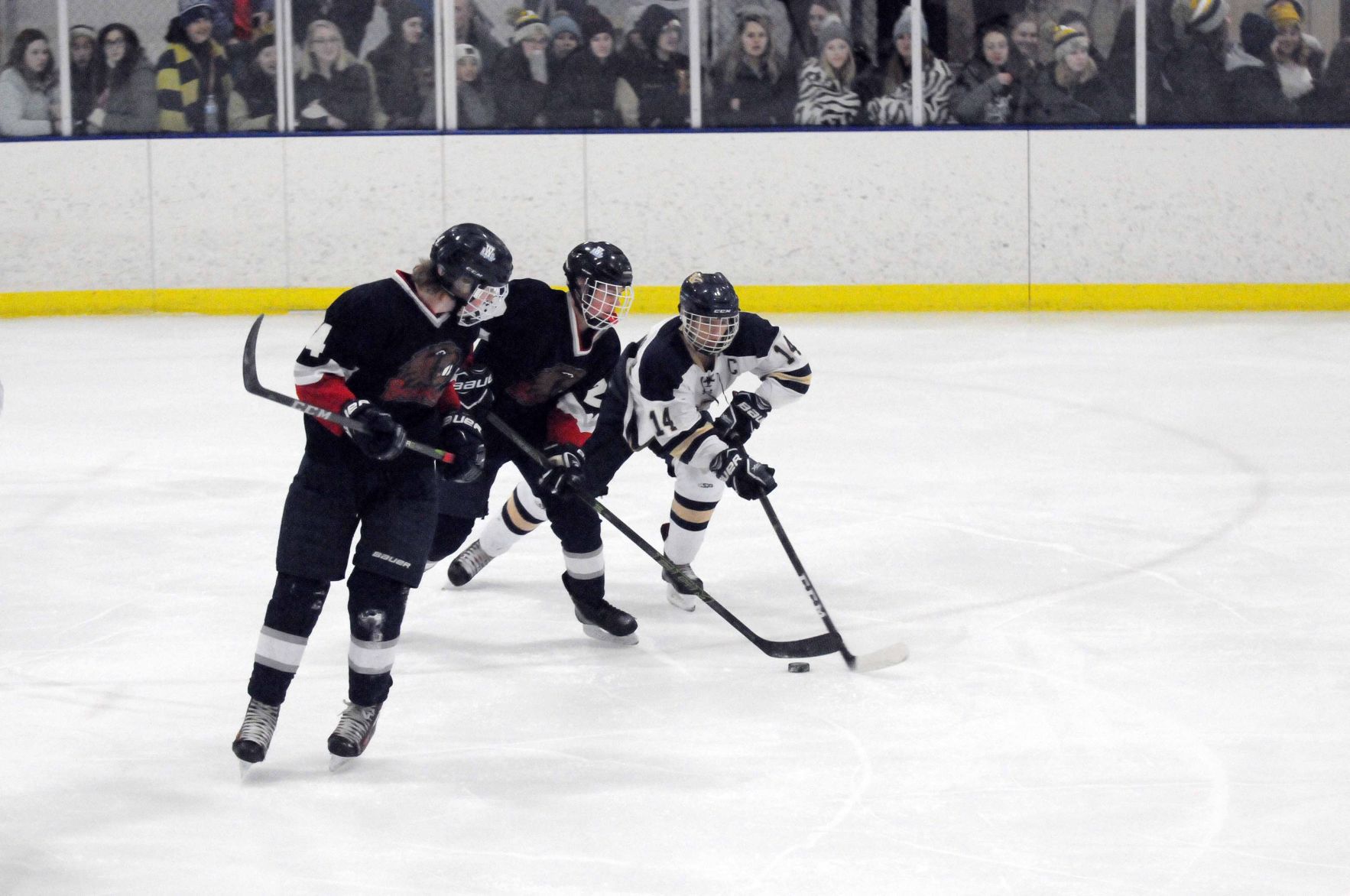 010719-reed-sports-gallery003